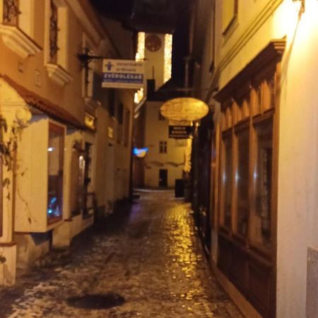 Apartman Pod Hradem Znojmo Exteriör bild